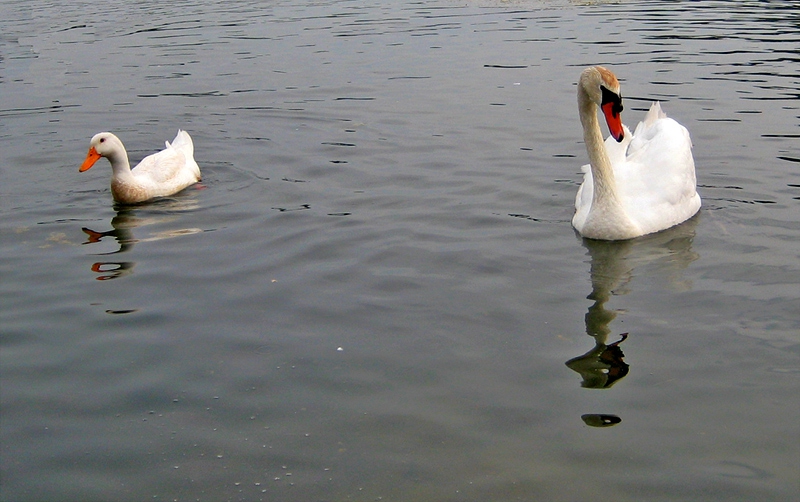 sizes