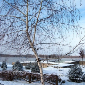 зима