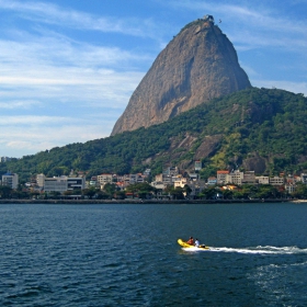 Planinata zaharno hlebche, Rio de Janeiro