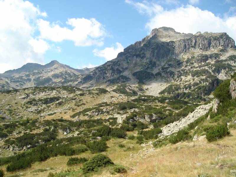 Pirin
