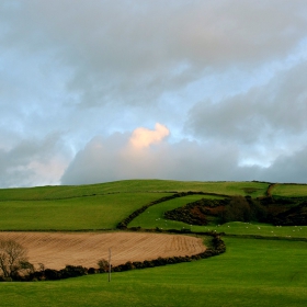 Pastoral