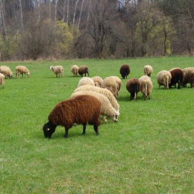 На село