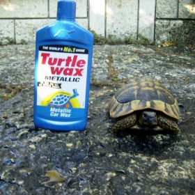 Turtle Wax  :)