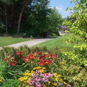 beautiful garden in Minneapolis