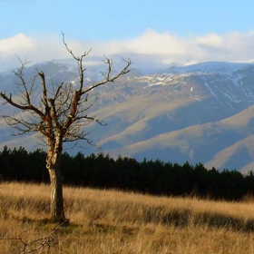 самотно