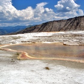 Canary( Hot )Spring