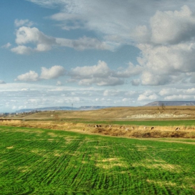 Гледка от България