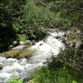 Mountain stream