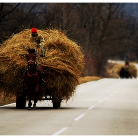 По пътищата вечни на.........България!