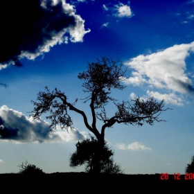 Staring upward in the obsidian sky...
