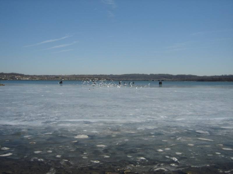 Potomac river, 9th of February...