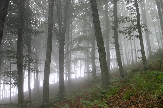 ..mystic..