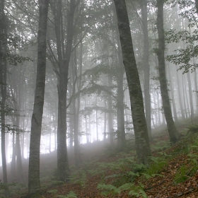 ..mystic..