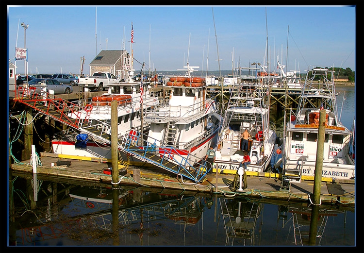 Fishing... Cruising...