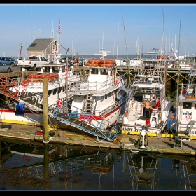 Fishing... Cruising...