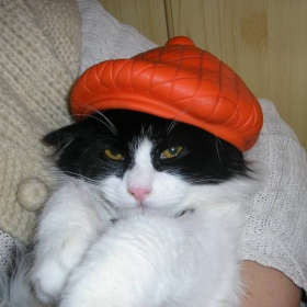Снимка без име