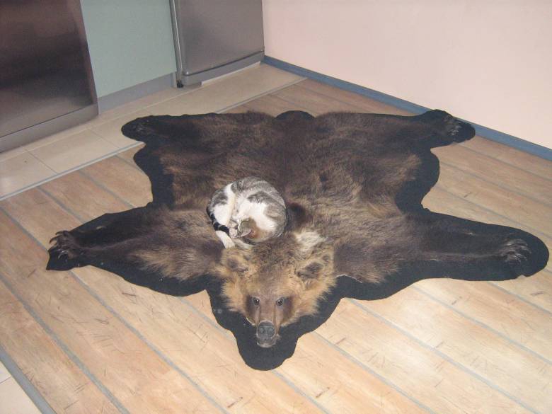 Снимка без име