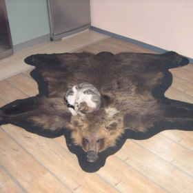 Снимка без име