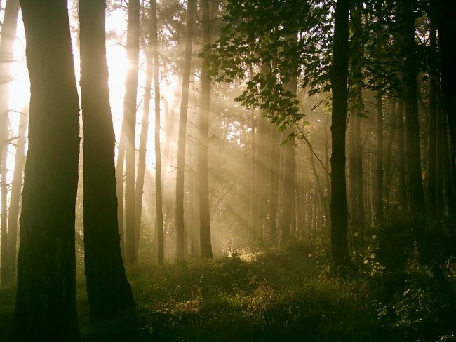 let the sun shine
