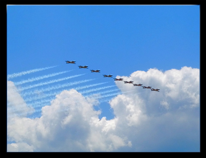 Canadian Snowbirds
