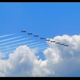 Canadian Snowbirds