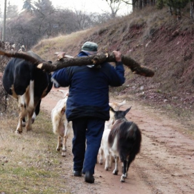 presledvane iz kitniq balkan