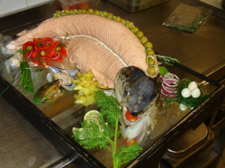 salmon