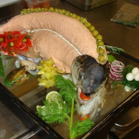 salmon