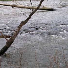 Водата