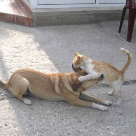 Love