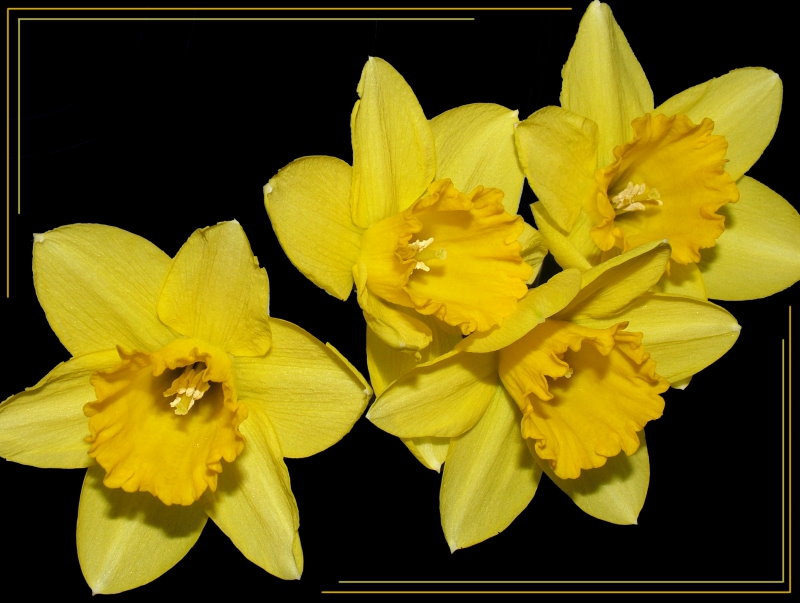 *** 2