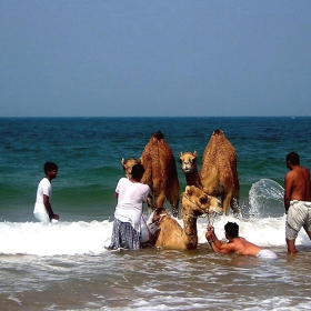 Водни спортове