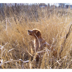In The Field