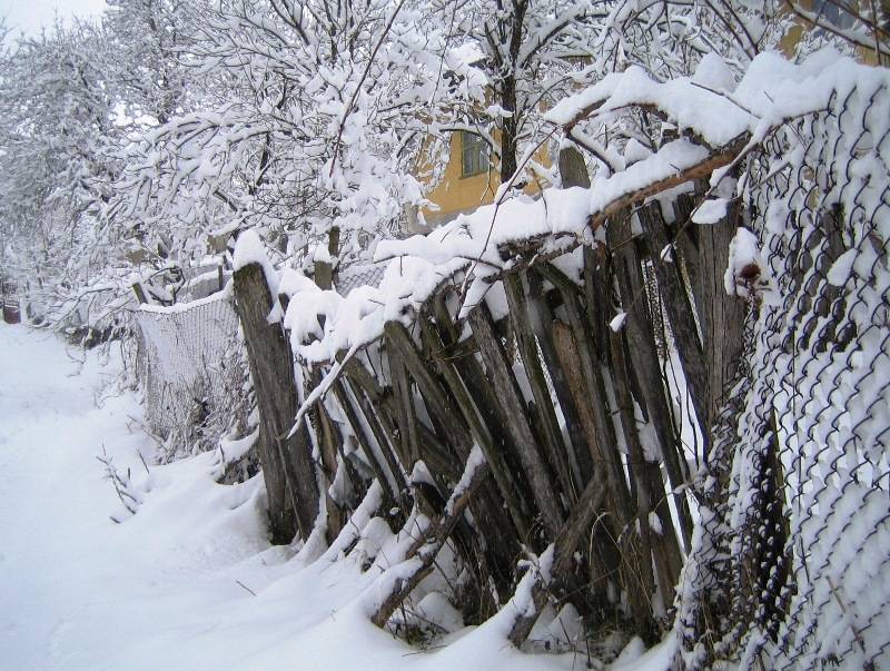 старата огрда