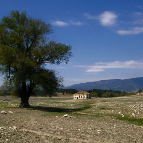 Заедно в самотата