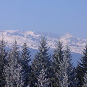 Rila Planina2