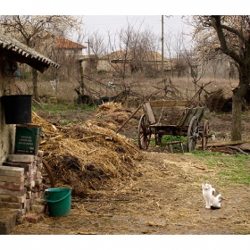 приказки от село