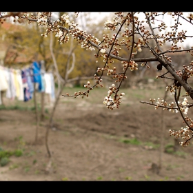 приказки от село ІІІ