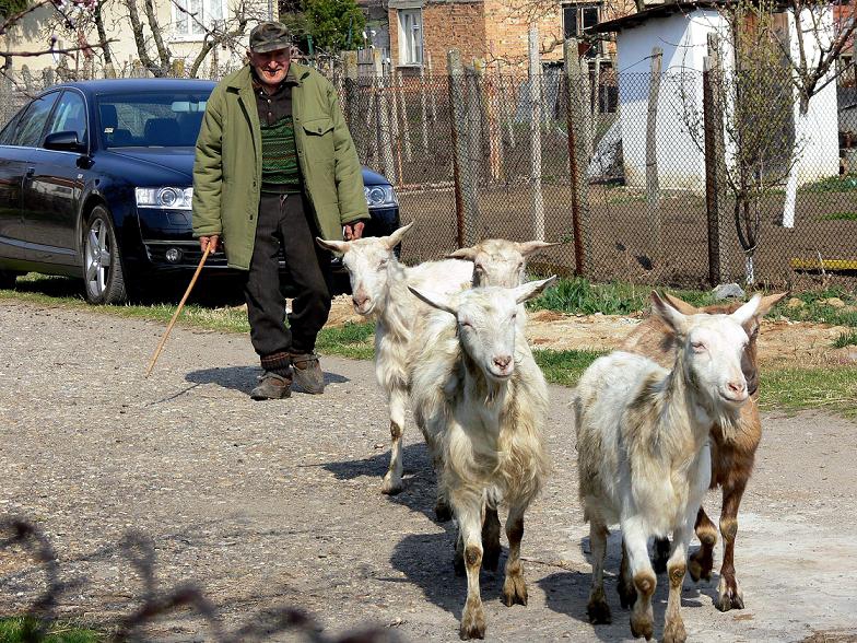 Аре бре, излизайте от тъпата кола....