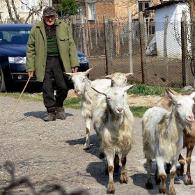 Аре бре, излизайте от тъпата кола....