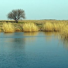 Сламено