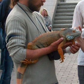 Снимка без име