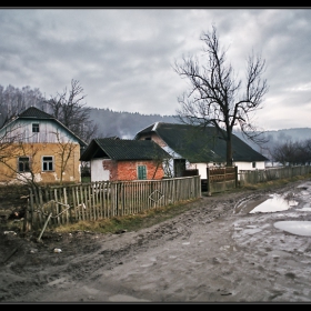 Дорога в Кривче