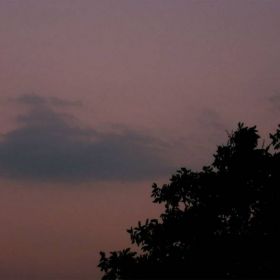 Moon & Tree