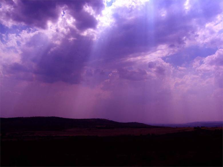 Purple Ray