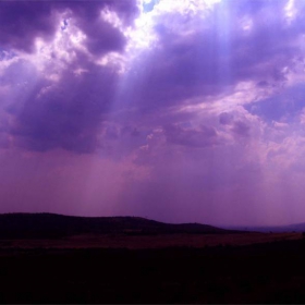 Purple Ray