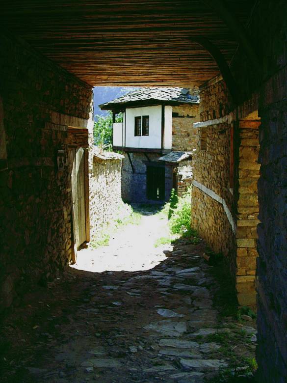 ковачевица