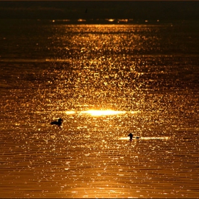 срещи в бакърените води