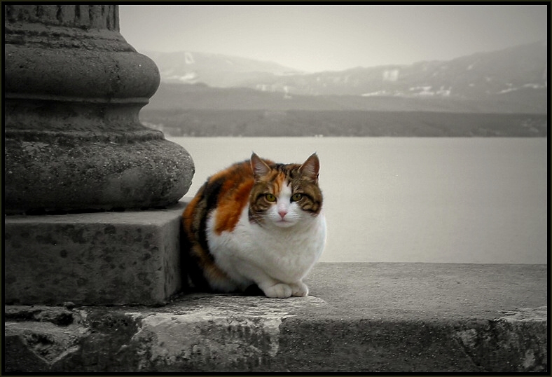 ..on the top..