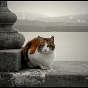 ..on the top..